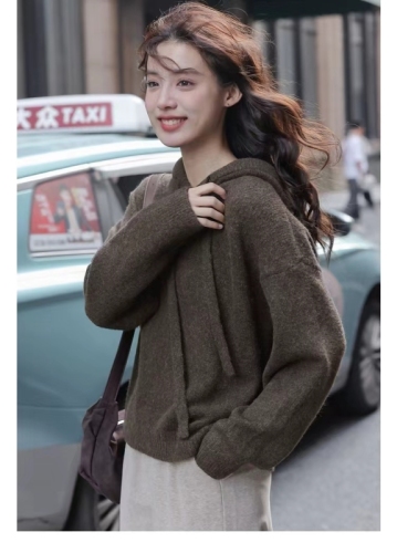 Japanese hooded sweater women's autumn new loose lazy style sweater jacket fashionable foreign top