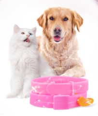 Cat collar, dog collar, cat collar, puppy collar, cat collar, dog collar, pet supplies, cat supplies