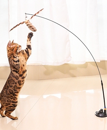 Cat toy powerful suction cup to amuse cat stick steel wire long pole to relieve boredom with feather bell pet supplies