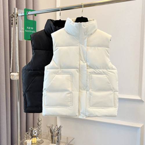 Small fresh new cotton coat vest winter Korean design loose cotton coat versatile vest jacket trendy