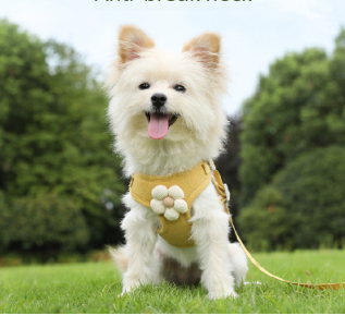 Pet vest traction rope dog cartoon three-dimensional accessories Teddy dog ​​walking rope cat back to prevent breaking away when going out