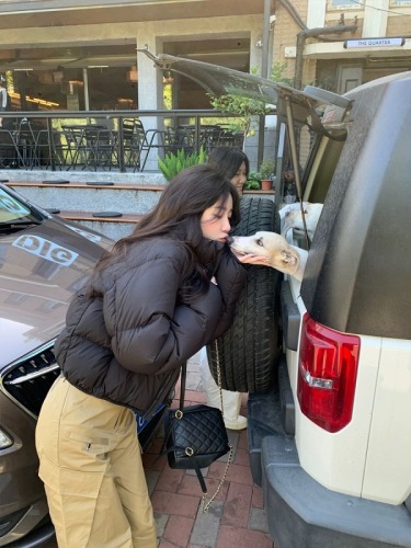 Kendou style short style new three-proof down cotton jacket for women loose thickened stand collar small man bread jacket ins trend