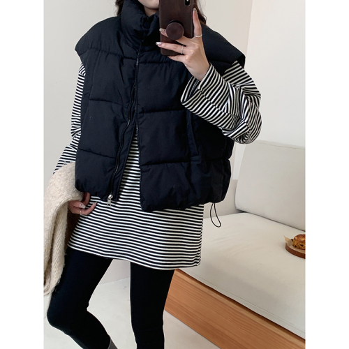 2024 New Korean Style Thickened Stand Collar Down Jacket Vest Women's Short Loose Casual Outer Wear Vest Vest