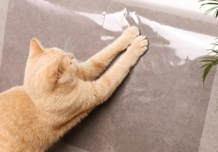 Transparent anti-cat scratch sofa stickers dog scratch stickers sofa protectors anti-cat claw protective film anti-scratch stickers cat supplies