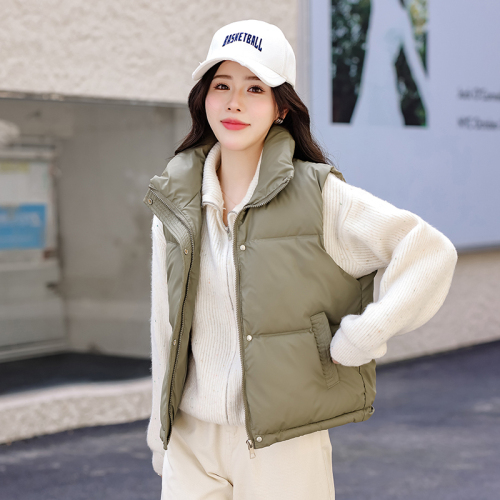 Real shot of stand-up collar sleeveless vest cotton coat for women in autumn and winter new style waist slimming versatile drawstring cotton coat