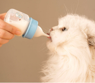 Cat bottle, kitten pacifier, newborn kitten pet artifact, dog puppy feeding device, cat and cat supplies