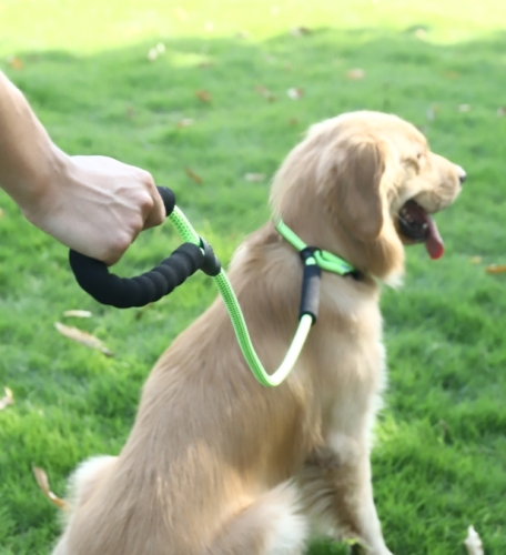 Pet explosion-proof P chain Labrador Golden Retriever anti-bite dog walking chain dog anti-breakaway rope supplies