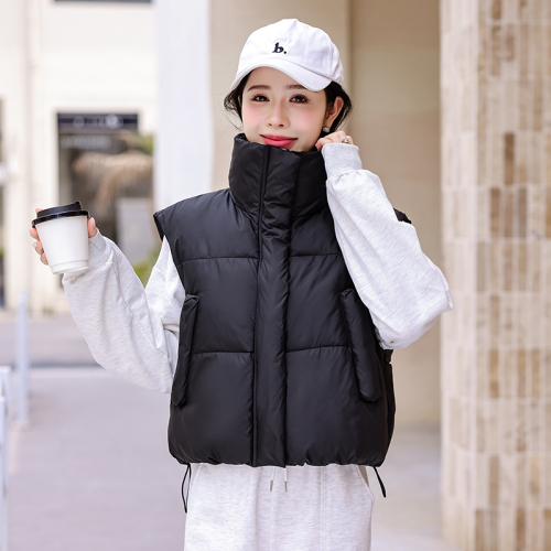 Internet celebrity vest for women autumn and winter new Korean version design niche ins down jacket vest vest jacket