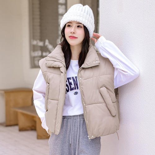 Internet celebrity vest for women autumn and winter new Korean version design niche ins down jacket vest vest jacket