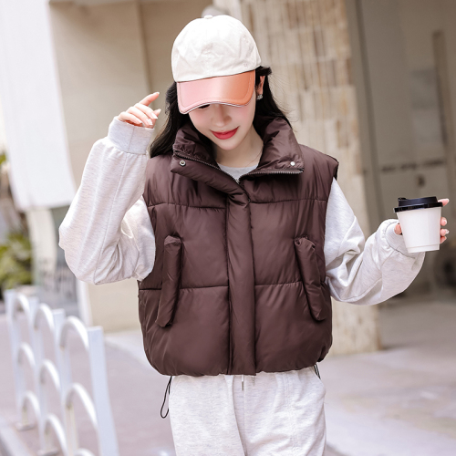 Internet celebrity vest for women autumn and winter new Korean version design niche ins down jacket vest vest jacket