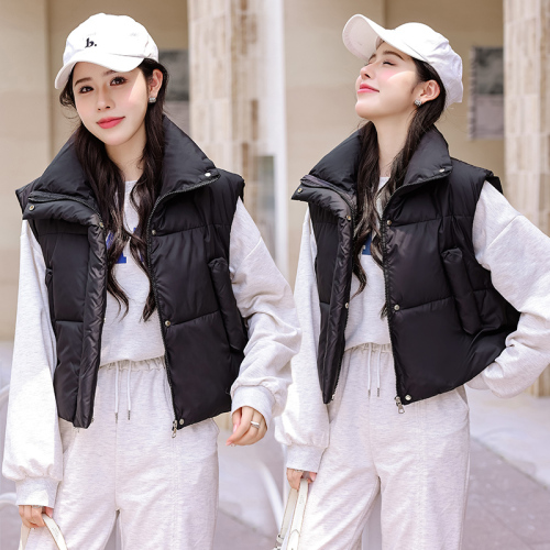 Internet celebrity vest for women autumn and winter new Korean version design niche ins down jacket vest vest jacket