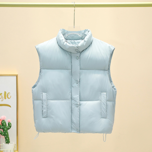 Actual shot of 2024 autumn and winter new Korean style short stand-up collar vest, foreign style, loose and versatile, vest, cotton jacket, foreign trade