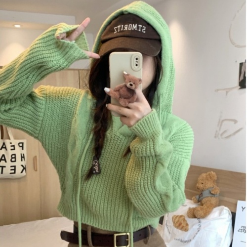 Hooded mint mambo hooded sweater sweater for women spring 2024 new age-reducing slim fit short top