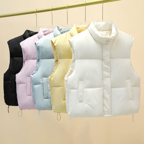 Actual shot of 2024 autumn and winter new Korean style short stand-up collar vest, foreign style, loose and versatile, vest, cotton jacket, foreign trade