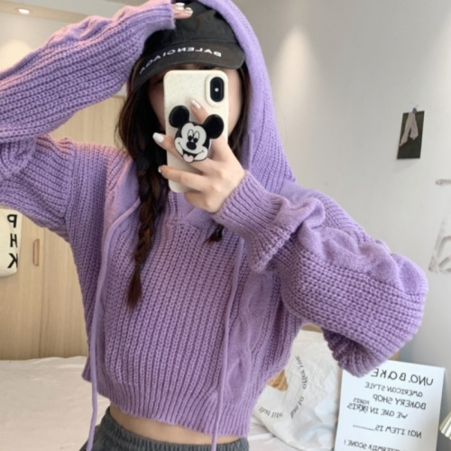 Hooded mint mambo hooded sweater sweater for women spring 2024 new age-reducing slim fit short top