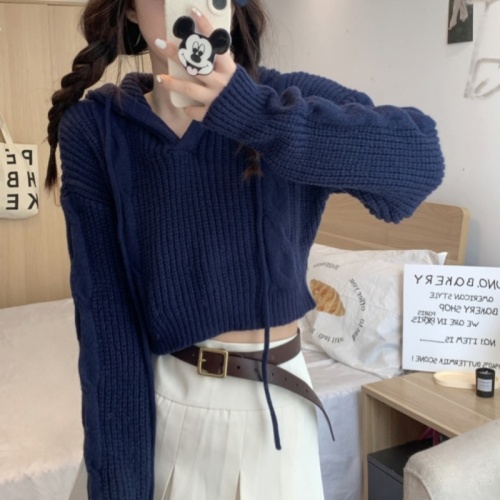 Hooded mint mambo hooded sweater sweater for women spring 2024 new age-reducing slim fit short top