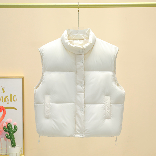 Actual shot of 2024 autumn and winter new Korean style short stand-up collar vest, foreign style, loose and versatile, vest, cotton jacket, foreign trade