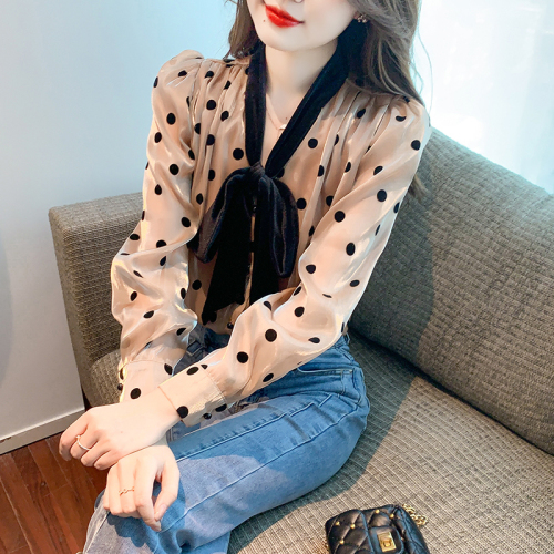 Actual shot of the new 2024 autumn and winter Korean style all-match gold velvet stitching bow tie long-sleeved shirt women's bottoming shirt