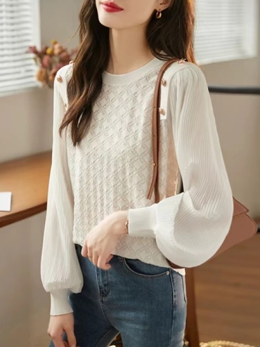 Lace splicing mesh long-sleeved T-shirt women's autumn 2024 autumn new style versatile casual bottoming shirt women's top