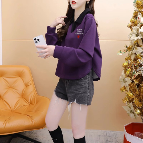 Official photo imitation cotton Chinese cotton composite milk silk spring and autumn thin loose long-sleeved V-neck sweatshirt trendy