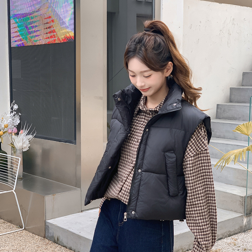 Real shot of women's new autumn and winter Korean style hooded loose and versatile down cotton vest waistcoat outer short coat