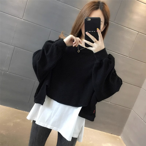 Official picture 6535 fish scale 2024 new style chic irregular fake two-piece round neck sweatshirt for women