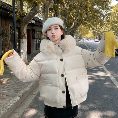 Big fur collar short down cotton coat for women 2024 new style loose cotton coat for small people thickened winter coat