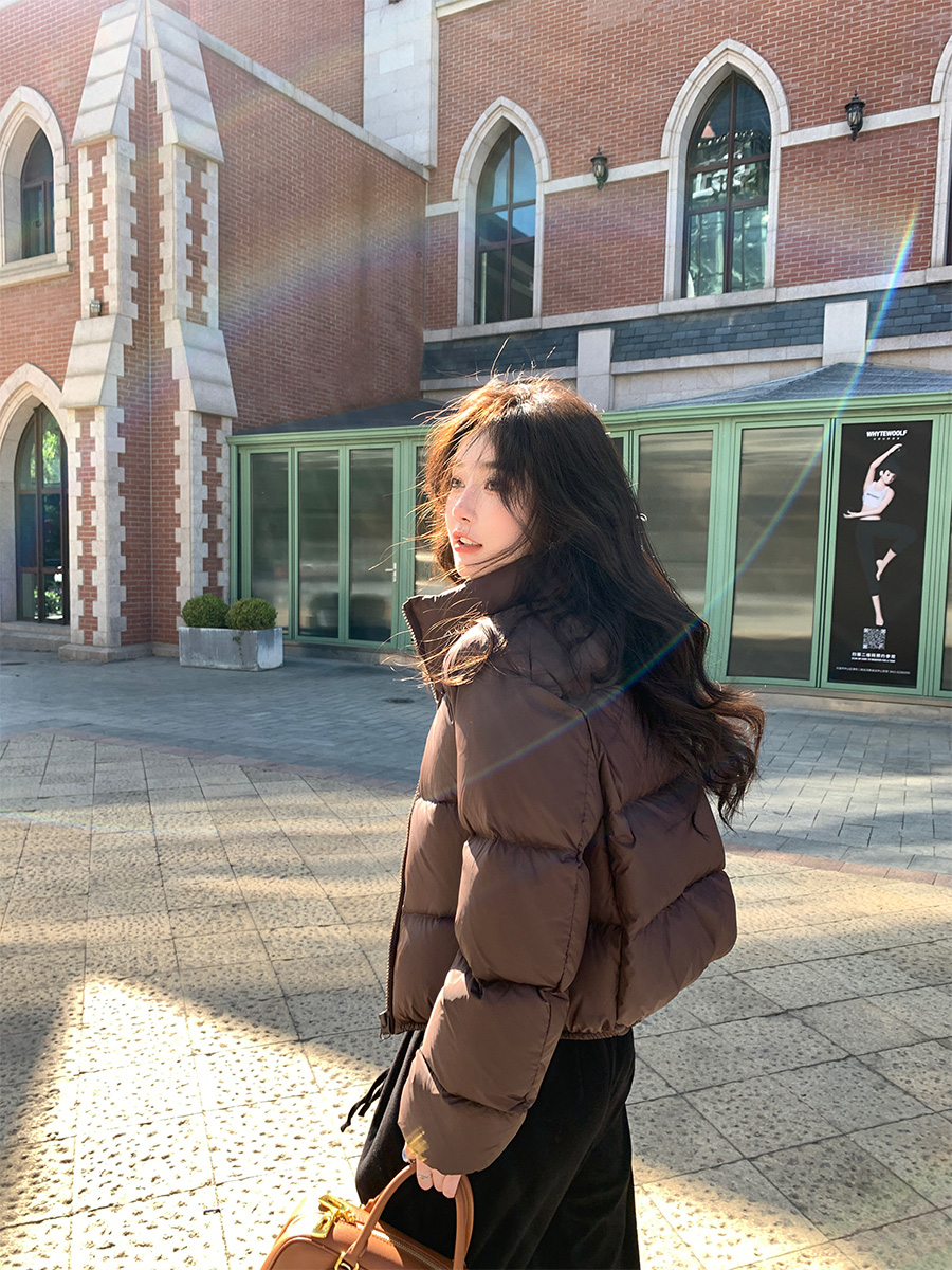Kendou Style Stand Collar Short Down Down Jacket Women's Thickened Small Stylish Loose Bread Jacket