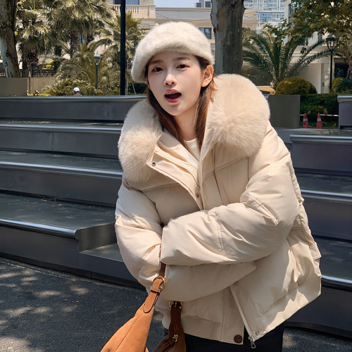 Big fur collar short down cotton coat for women 2024 new style loose cotton coat for small people thickened winter coat