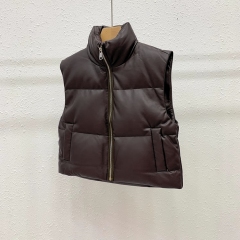 Autumn and winter Internet celebrity Amazon's same fashion slimming PC imitation leather versatile down cotton vest vest for women
