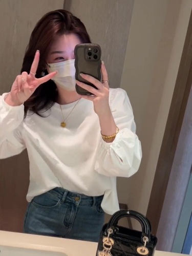 Hot Girl Early Autumn Long Sleeve T-Shirt Women's New Autumn Clothes Loose Fashionable Fashionable Puff Sleeve Top Women