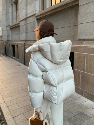 2024 New Maillard Ultra-Light Thick Little Puff Winter Jacket Down Jacket Women's Short Style