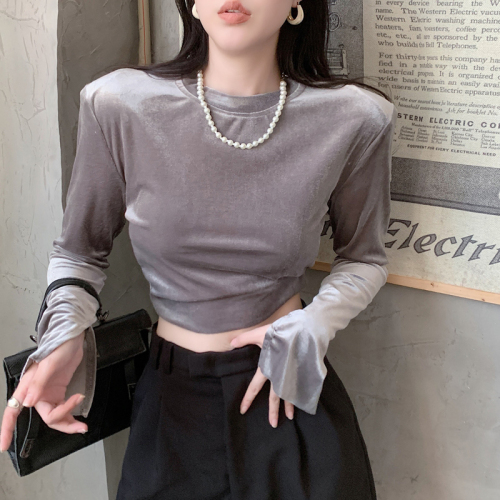 dudu Korean style round neck long-sleeved velvet T-shirt women's niche popular 2024 spring and autumn casual bottoming shirt popular tops