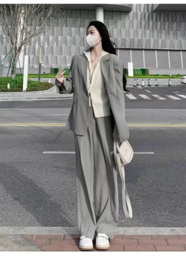 Gray small suit jacket for women 2024 spring and autumn new two-piece suit small high-end loose casual suit