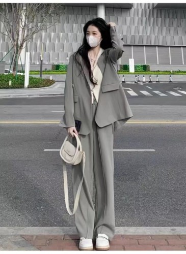 Gray small suit jacket for women 2024 spring and autumn new two-piece suit small high-end loose casual suit