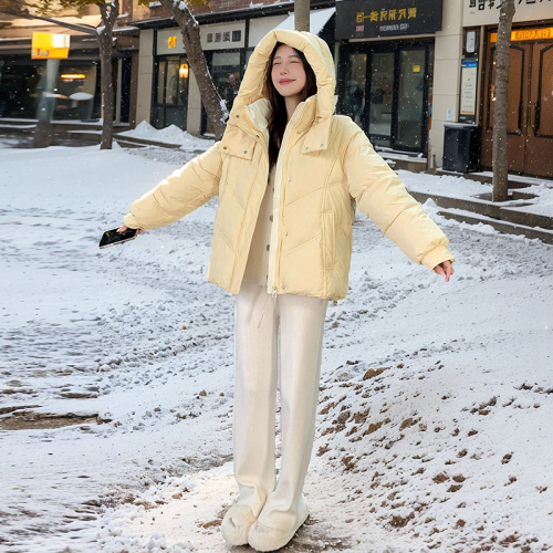 Internet celebrity's same style down jacket for women in winter 2024 new short thickened jacket for small people