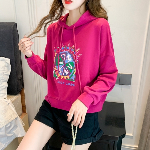 Real shot design niche hooded sweatshirt for women autumn thin new style chic early spring chic top