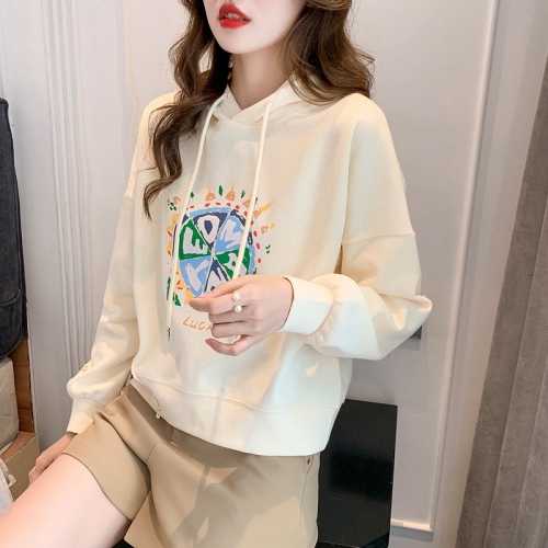 Real shot design niche hooded sweatshirt for women autumn thin new style chic early spring chic top