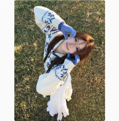 Fair Isle sweater women's spring Christmas tree embroidered zip knit turtleneck jacket unique design sense top