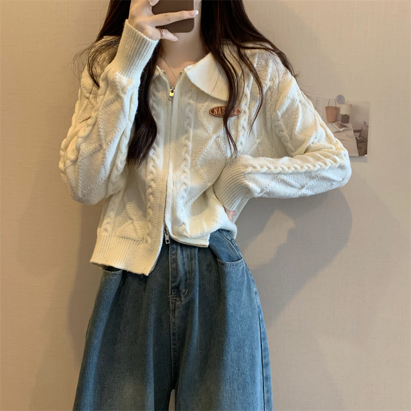 New version of Korean style early autumn design zipper lapel sweater cardigan