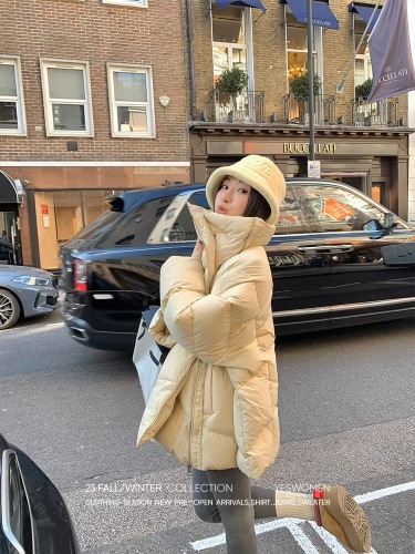 Embraceable down-padded jacket silhouette with diagonal zipper for personal wear. Short lapel style for women. Small winter quilt and cotton-padded coat.