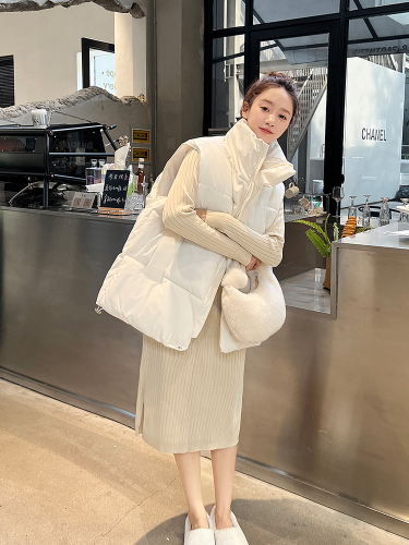 Actual shot of internet celebrity vest for women 2024 autumn and winter new Korean style niche ins down jacket vest