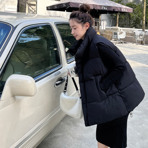 Actual shot of internet celebrity vest for women 2024 autumn and winter new Korean style niche ins down jacket vest