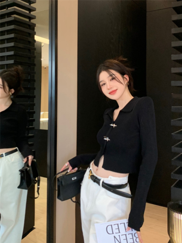 Actual shot ~ 2024 new knitted sweater for women, black autumn and winter short chic design top