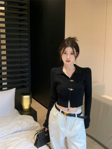 Actual shot ~ 2024 new knitted sweater for women, black autumn and winter short chic design top