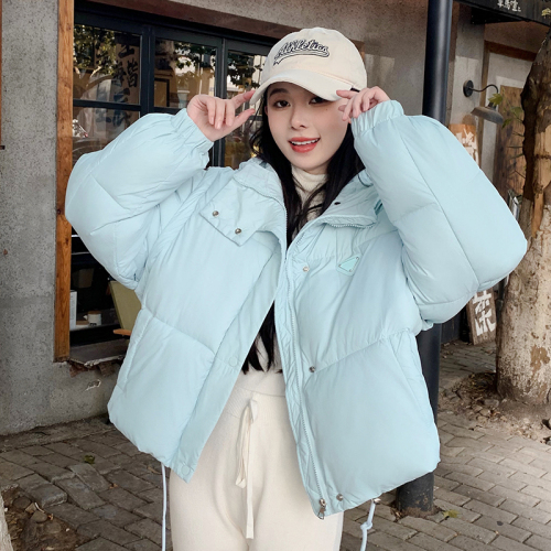 2024 real shot winter new Korean style short cotton jacket for women removable Internet celebrity fashion puff vest jacket