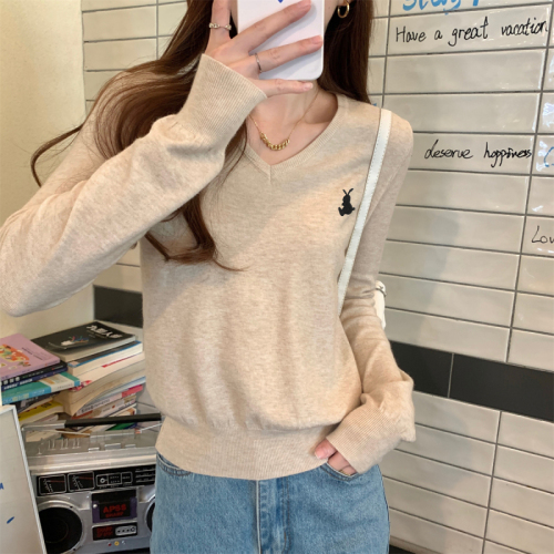 Real shot Autumn Korean version v-neck versatile embroidery age-reducing Andy velvet sweater long-sleeved bottoming top for women