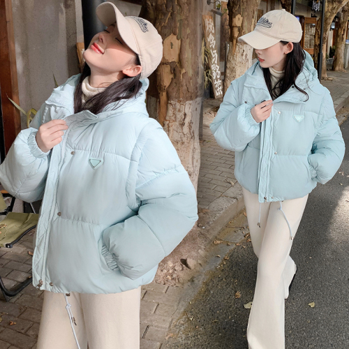 2024 real shot winter new Korean style short cotton jacket for women removable Internet celebrity fashion puff vest jacket