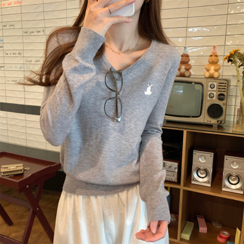 Real shot Autumn Korean version v-neck versatile embroidery age-reducing Andy velvet sweater long-sleeved bottoming top for women