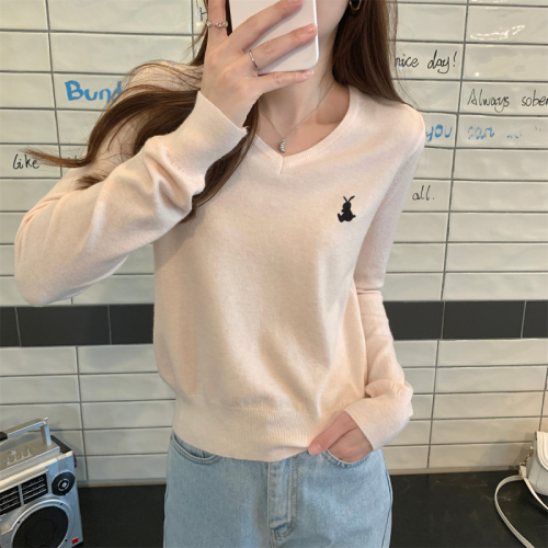 Real shot Autumn Korean version v-neck versatile embroidery age-reducing Andy velvet sweater long-sleeved bottoming top for women
